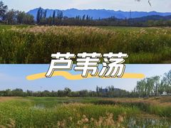 -乌素图国家森林公园