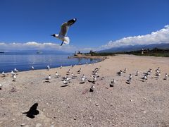 -青海湖二郎剑景区