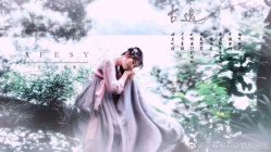-YISHU一树影像工作室(惠城店)