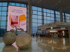 -广州白云国际机场-T2航站楼
