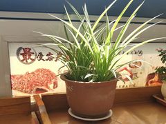 -大清花饺子(山庄店)