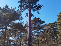 -北京西山国家森林公园