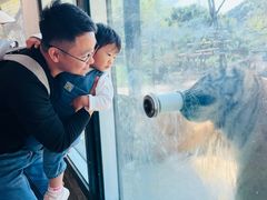 -大连森林动物园