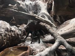-香港海洋公园