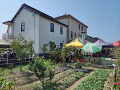 -大莲湖农家乐(青西郊野公园店)