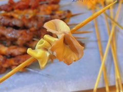 -烤五行·烧烤烤串(石佛营店)