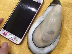 -蚝专家(北滘店)