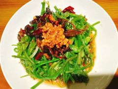 -菌自由丨野生菌火锅特色庭院餐厅(丽江古城店)