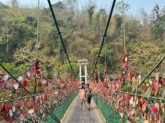 -西双版纳原始森林公园