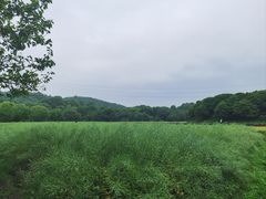 -八卦田遗址公园