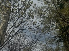 -宁波儿童公园(鄞州区)