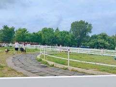 -长春北湖公园
