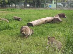 -秦皇岛野生动物园