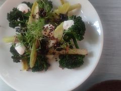 -Ocean's Table 欧舍