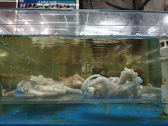 -87号烧烤海鲜·大排档(金沙滩店)