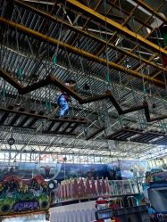 -爱丽丝奇幻乐园