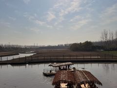 -溱湖国家湿地公园