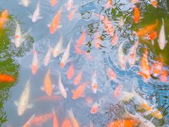 -厦门日月谷温泉渡假村