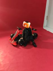 -大连棒棒糖儿童摄影(熊洞街店)