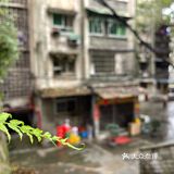 纯粹路过，早上还没到开门营业的时间