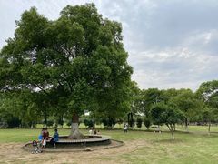 -艾溪湖湿地公园