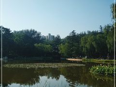 -西安市长乐公园