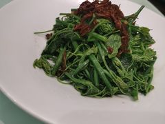 鸡油枞拌丝瓜尖-一品滇香·云南菜(公益西桥店)