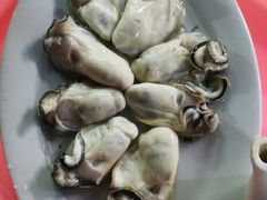 -花苑美食横琴生蚝火锅(拱北粤华路店)