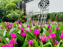 -西湖公园(鼓楼区)