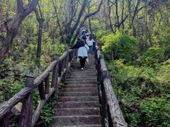 -秦岭终南山世界地质公园翠华山景区