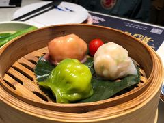 -点都德·毕德寮