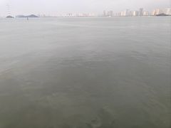 -厦门邮轮中心厦鼓码头(轮渡站)