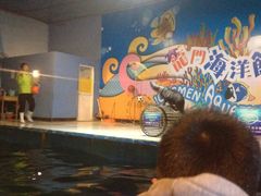 -洛阳龙门海洋馆