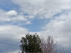 -泸沽湖里格半岛