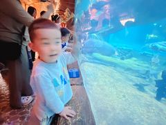 -华夏文旅西安度假区