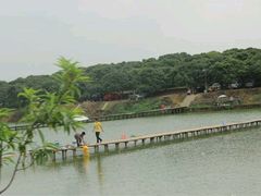 -松山湖南湖湾露营营地