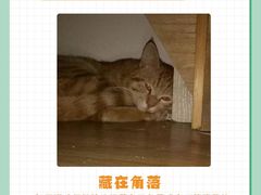 -申普宠物医院·眼科·心内科·影像科(普陀分院)