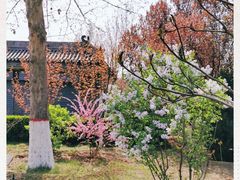 -大槐树寻根祭祖园