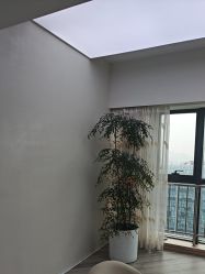 -HEYAN荷妍专业脱毛连锁机构