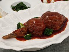 -丁老爷子苏香圆