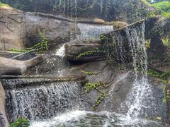 -厦门园林植物园-植物园滴水山房