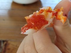 -钟叔烩鸡