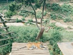 -大连森林动物园