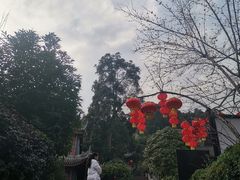 -峨眉山报国寺