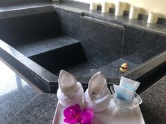 -春晖园度假酒店温泉