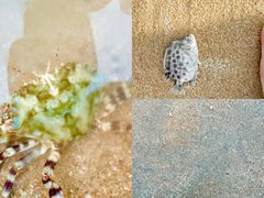 -那香海钻石沙滩浴场