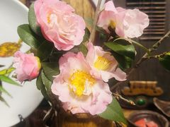 -道南書院·私房菜·早午茶·茶馆