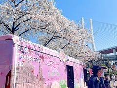 -南浦大桥长途旅游客运站