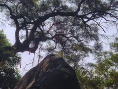 -云洞岩风景区