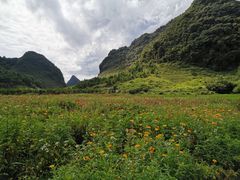-靖西鹅泉风景区